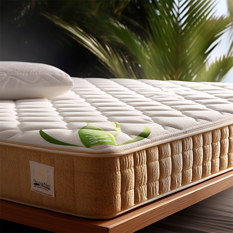 Latex Memory Cotton Mattress Soft Mat